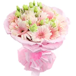 delivery 12 pcs. pink gerberas in bouquet to manila