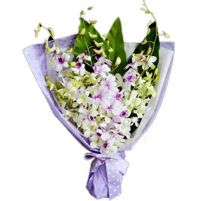 send 2 dozen white dendrobium orchids to manila