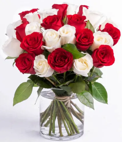 buy stem red and white roses vase to manila