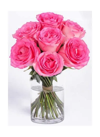 buy half dozen long stem pink roses vase to manila